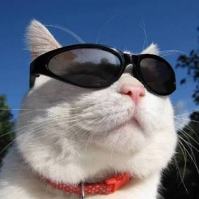 BridgetBer56544's profile picture