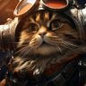 Фото профиля Tom
