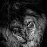 جحدر 𓃭's profile picture