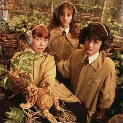 خوان ميغيل انخيل's profile picture