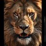 சிங்கம் profil fotoğrafı