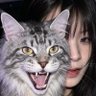 WU hai mei 的头像