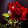 Profilbild von علي ناصر