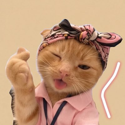 dori's profile picture