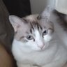 Фото профиля さくらみずほ