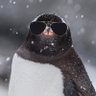 ãŽãŠãâïžð¥'s profile picture