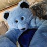 BluThePlushTeddy's profile picture