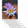 Фото профиля Justina