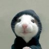 Trauma's profile picture