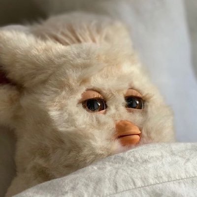 얌얌냠(º ﹃ º )'s profile picture