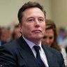 CEO OF X 的头像