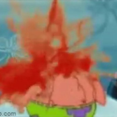 roaz's profile picture