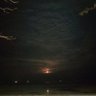 bulbaden212's profile picture