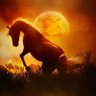 سيس profil fotoğrafı