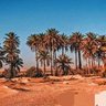 عبدالله القيسي 的头像