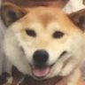 ハーフサムライd1a2 Pepeガチホニキ's profile picture