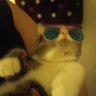 Alaska - Lagi Baca's profile picture