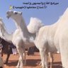 عبدالعزيز الحربي profil fotoğrafı