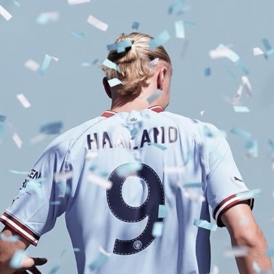 erlinggifs's profile picture