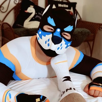 Dogc_Fist's profile picture