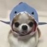 진아!! 的头像