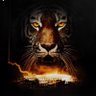 Tyler Jasper's profile picture