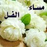 لهيم سلظان profil fotoğrafı
