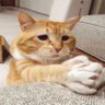 yah profil fotoğrafı