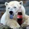 Profilbild von Cola Gates
