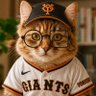羽田悠輔's profile picture