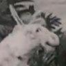 Profilbild von ゞ