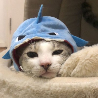 Badgirl's profile picture