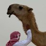 Profilbild von يوسف المطيري