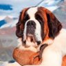 Citoyen Léman 74 🇫🇷🇨🇭's profile picture