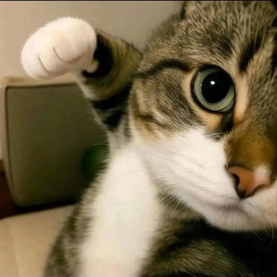 TikTokClip 📌's profile picture