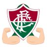 🇭🇺Luto Pelo Fluminense💪's profile picture