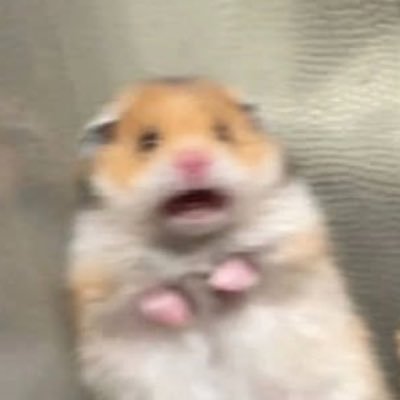 eixyyel's profile picture