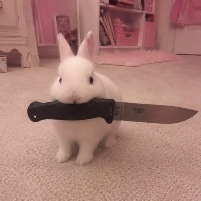 ray's profile picture