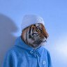 Profilbild von RanDEY 🐅🤍