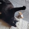 Marcy's profile picture