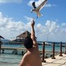 julio cesar Rosas profil fotoğrafı