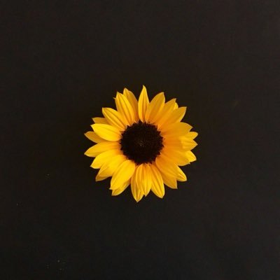 drm_xs's profile picture