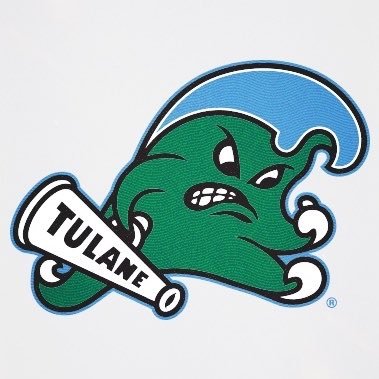 GreenWaveFB's profile picture