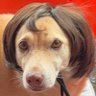 Profilbild von WRT