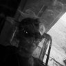 Profilbild von 33Zepha