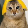 Matta's profile picture
