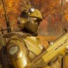 SEAF Defense Captain's profile picture