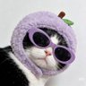 Фото профиля catarina
