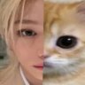 Tokki ~ VAI REVER SKZ profil fotoğrafı