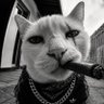 Profilbild von jon snow